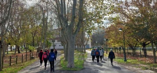 Imágen de la noticia - Abiertas las inscripciones para el programa deporte y mujer