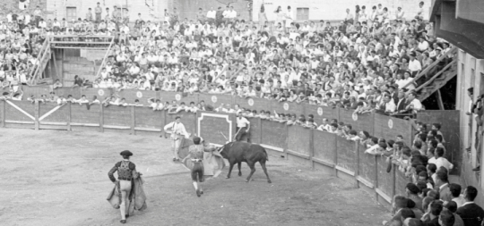 Imagen Exposición: “Celebrando los 40 años del Club Taurino sangüesino”